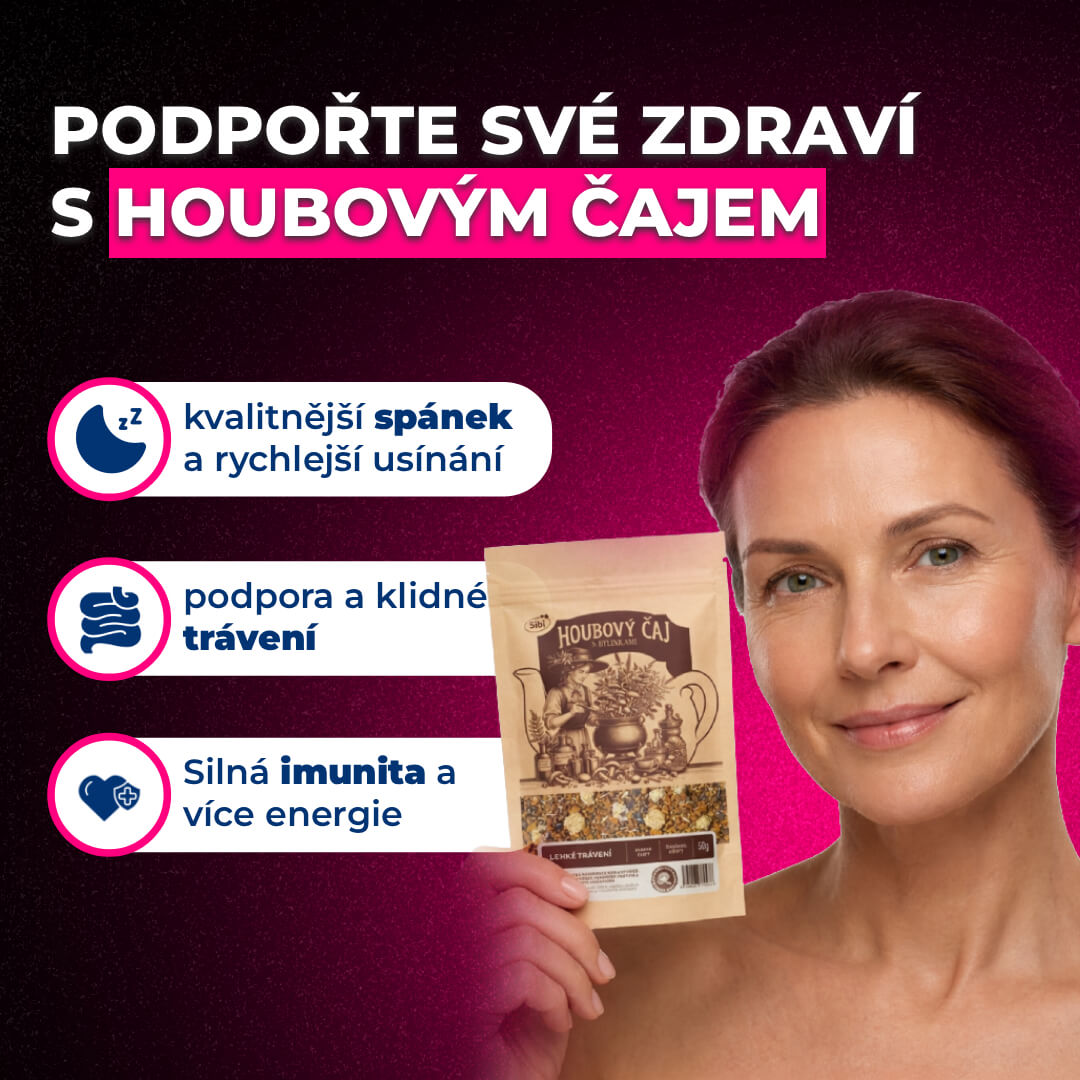Houbový čaj - 50 g